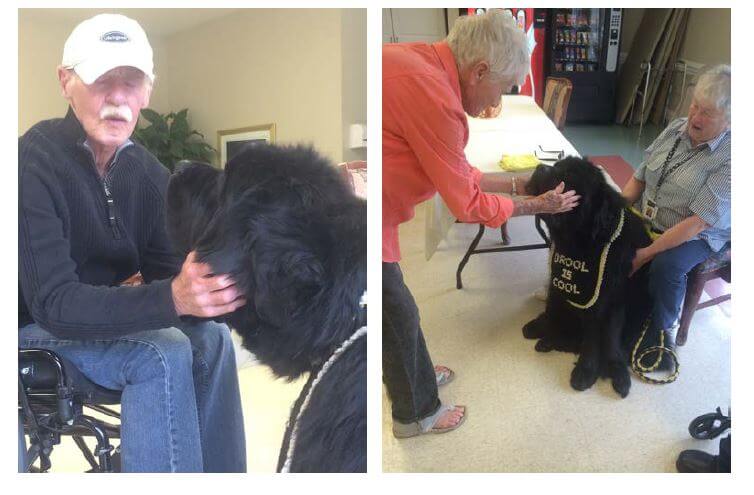 Woodridge residents Hank Castellani and Rebecca Niven petting Galion the Therapy Dog