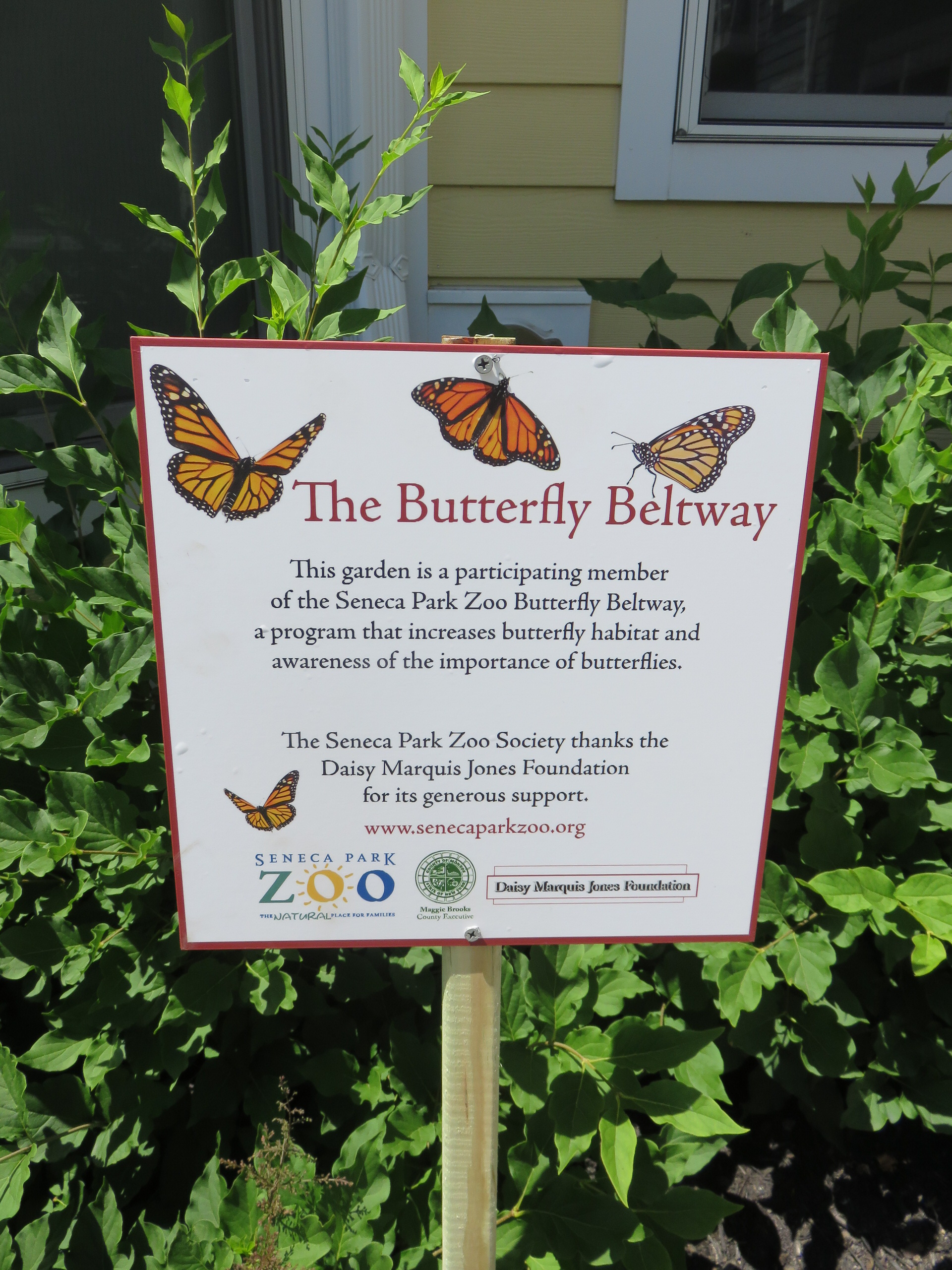 The butterfly Beltway Seneca Park Zoo sign at DePaul