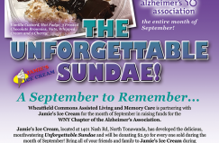 The Unforgettable Sundae
