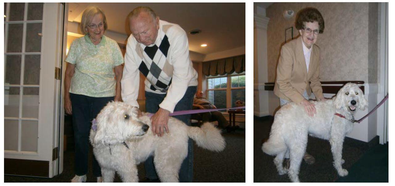 Therapy Dog  Riley with Glenwell residents Donna O'Mara and Eugene Prebot and Norine Crawford.