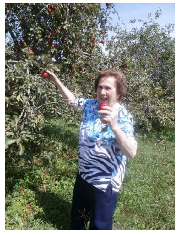 Twelve Oaks resident Anna Thompson picking apples from a tree