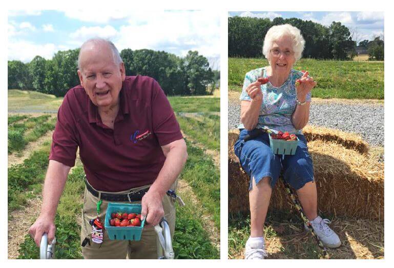  Woodcrest Commons residents John Hicks and Joanne Hackett with their strawberries