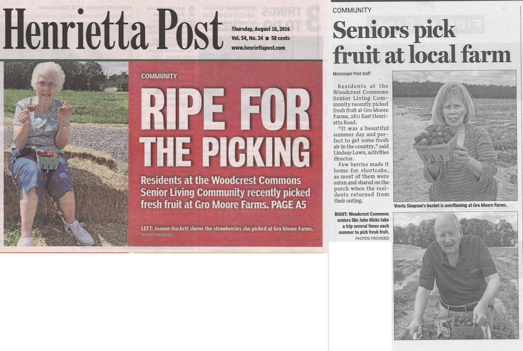 Westwood Commons residents pick Strawberries, August 18, 2016 story in the Henrietta Post