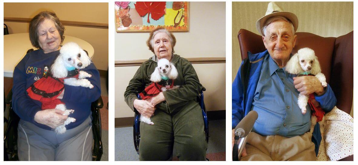 Phoebe is pictured above with Twelve Oaks residents Irene White, Kim’s mother Frieda Chauncey, and Ted Coleman