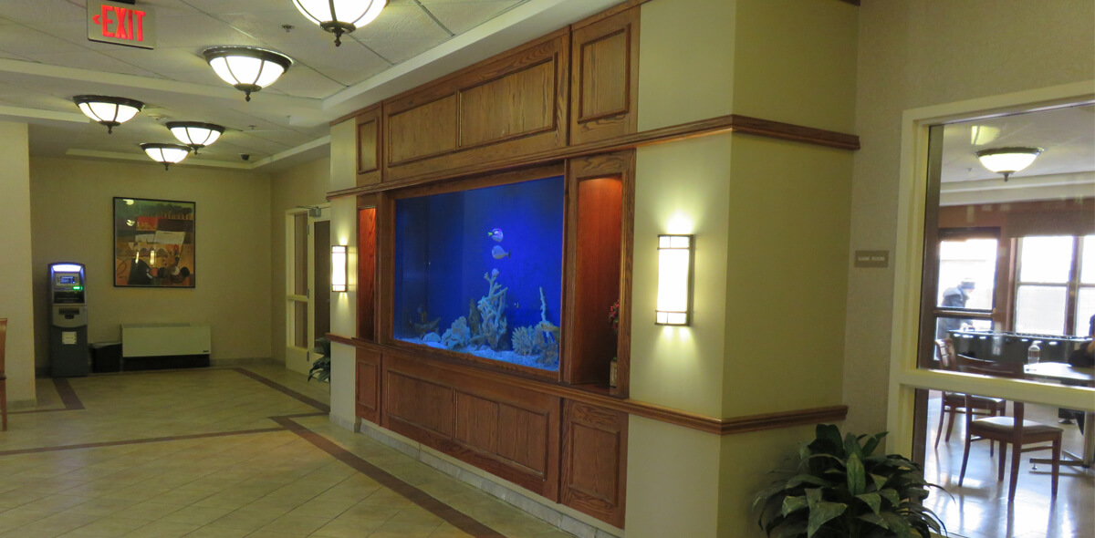 DePaul Parkside Community Residence Single Room Occupancy Program Fish Tank