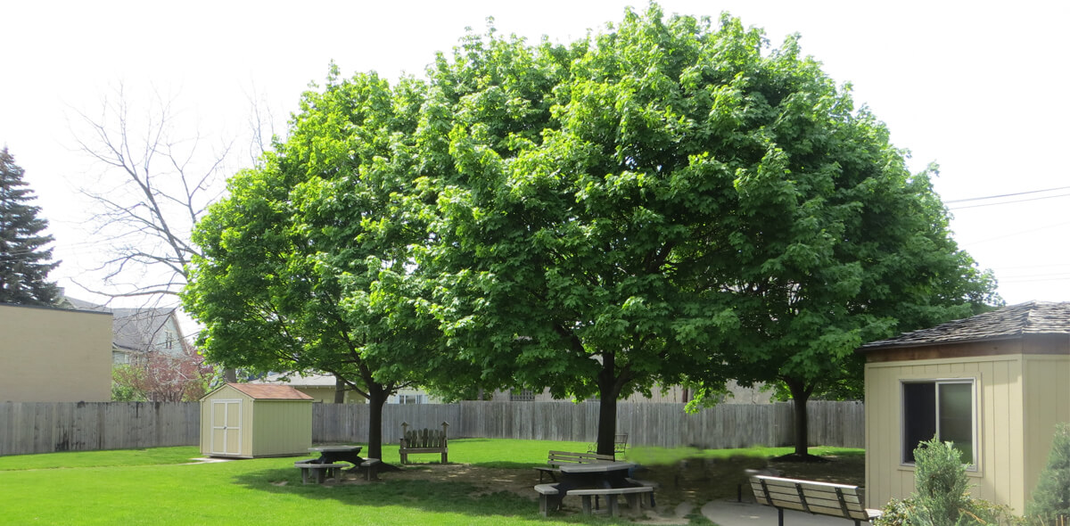 DePaul McKinley Square Community Residence Single Room Occupancy Program Courtyard