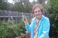 Twelve Oaks Gardening 2