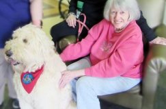 Wexford House Pet Therapy 2