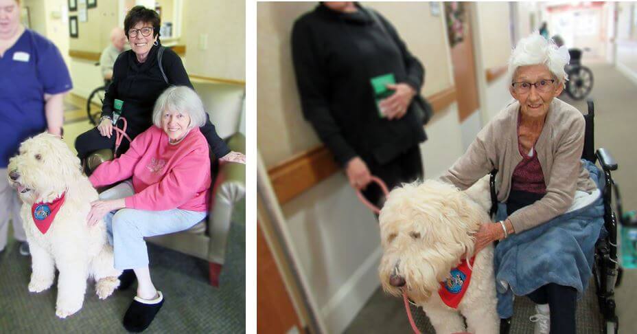 Wexford House Pet Therapy