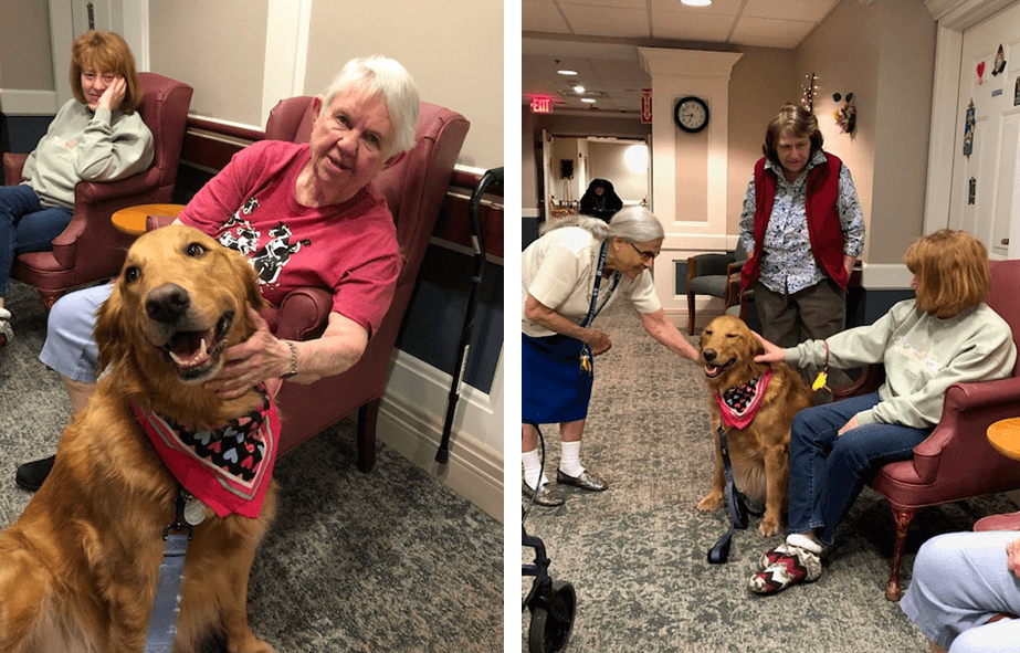 Woodcrest Commons Pet Therapy