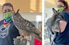 Trolley Station Facts And Snacks 2