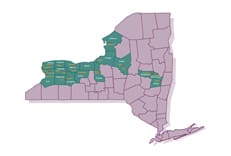 Light purple and teal map