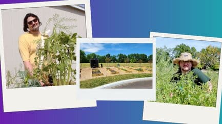 Purple and blue gradient background. Two photos of residents and a center photo of a community garden.